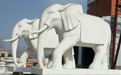 石雕大象適合擺放在哪里？